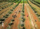 PUGLIA : GIORNATA MONDIALE DELL’AMBIENTE (5 GIUGNO)
