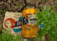 LECCE : GIORNATA MONDIALE DELL'AMBIENTE