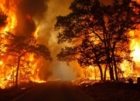 PUGLIA : LEGAMBIENTE SU SITUAZIONE INCENDI
