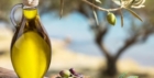 AIFO : L'OLIO EXTRAVERGINE MISURA IL PROPRIO IMPATTO AMBIENTALE
