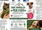 SAN MICHELE SALENTINO : APERTURA CANILE SANITARIO