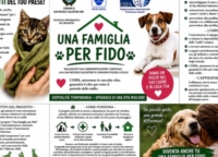 SAN MICHELE SALENTINO : APERTURA CANILE SANITARIO