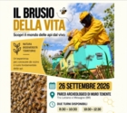 MURO TENENTE : IL BRUSIO DELLA VITA