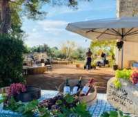 BRINDISI : MASSERIA GABELLOTTO : VENDEMMIA IN FAMIGLIA
