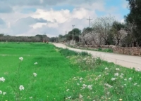 FRANCAVILLA FONTANA CEGLIE MESSAPICA : FINANZIAMENTO ITINERARIO CICLABILE