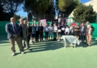 FASANO : LIONS CLUB : TORNEO GIALLO DELL'AMICIZIA