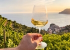 WEEKEND D'AUTUNNO TRA VIGNE E CANTINE