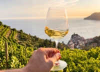 WEEKEND D'AUTUNNO TRA VIGNE E CANTINE