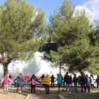 LEGAMBIENTE : "Festa dell'albero 2014"