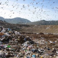 BBC: La Regione invia nuovamente i rifiuti del barese a Brindisi   