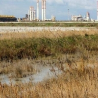 MICOROSA: TRASPARENZA E RECUPERO DEI FONDI PER LA BONIFICA