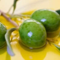 OLIO GIORNALISTI PUGLIESI A SCUOLA DI EXTRA VERGINE A LECCE