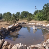 BIODIVERSO LA BIODIVERIST� ORTICOLA IN PUGLIA