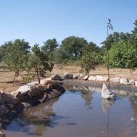 BIODIVERSO LA BIODIVERIST ORTICOLA IN PUGLIA