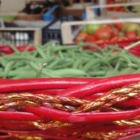 BIODIVERSO Biodiversità delle specie orticole della puglia