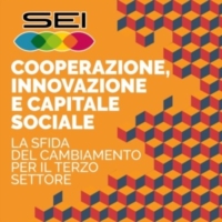 Cooperazione, innovazione e capitale sociale.La sfida del cambiamento per il Terzo Settore