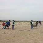 LEGAMBIENTE BRINDISI :anteprima spiagge e fondali puliti 2015