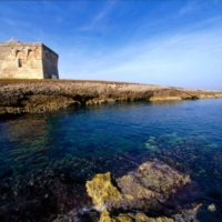 Manifestazione 24 giugno 2015 a Torre Guaceto