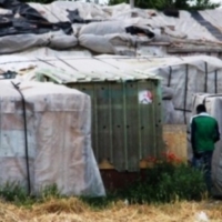 CONFERENZA STAMPA MEDU