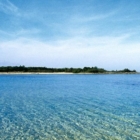 Associazioni: "Torre Guaceto non può diventare una cloaca"