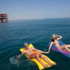 GREENPEACE IN AZIONE CONTRO LE TRIVELLE