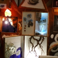 STORIA D'AMORE E ALBERI NUOVO APPUNTAMENTO 