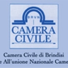 CAMERA CIVILE DI BRINDISI CONVERSAZIONI SUL PROCESSO CIVILE 