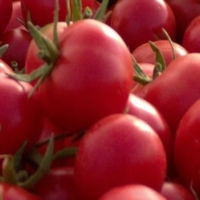 BIODIVERSO AD AGRILEVANTE