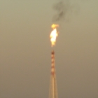 BBC: Le Torce sfiammano mentre attendiamo da 4 mesi il monotematico in consiglio comunale