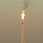 LEGAMBIENTE SU SFIAMMATE