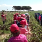 S.A.N.I. GAL : MANIFESTAZIONE CONCLUSIVA