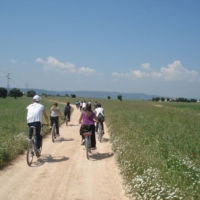 TERRA MADRE DAY 2015