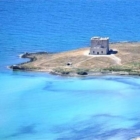 SI DEMOCRAZIA SU TORRE GUACETO