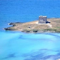 SI DEMOCRAZIA SU TORRE GUACETO