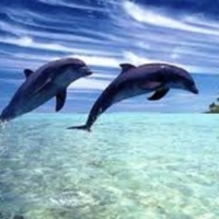 Convegno con la GESTALT - Venerd� 18/3/2016