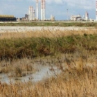  QUAL’E’ IL RUOLO DEL CONSORZIO ASI  NELLA BONIFICA DELL'AREA S.I.N DI BRINDISI?