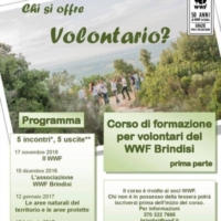 WWF : �CHI SI OFFRE VOLONTARIO?�