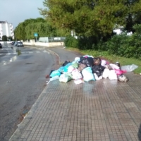 ECOLOGICA PUGLIESE : SQUADRE SPECIALI PER RIPULIRE LA CITTA'