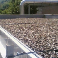 L�impianto di compostaggio di Erchie potr� acquisire il �cigno verde� ?