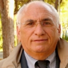 MAGNO SU TAP