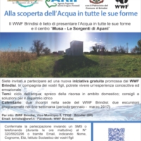  Educazione ambientale del  WWF Brindis