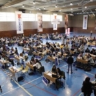 YOUNG BUSINESS TALENTS
