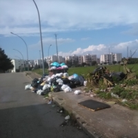 BRINDISI RIFIUTI : EMERGENZA IGIENICO-SANITARIA