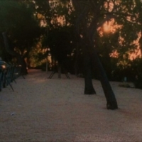 FINALMENTE SI E� RIDATA DIGNITA� AL PARCO DI VIALE FRANCIA