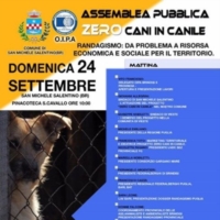  �ZERO CANI IN CANILE� PARTE ANCHE A BRINDISI