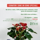 Aido Brindisi - 'Un anthurium per l'informazione