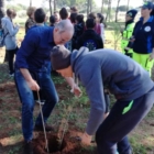 MANDURIA : alternanza Scuola-Lavoro: Festa nazionale dell’albero 2017