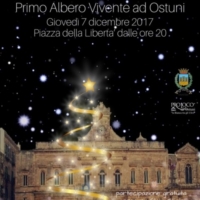OSTUNI: �Primo Albero di Natale Vivente�
