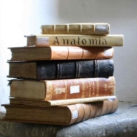 Spegnere la TV e leggere un libro