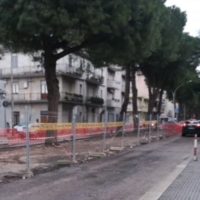 BRINDISI : OGGI RIMOZIONE PINI IN VIALE SAN GIOVANNI BOSCO
